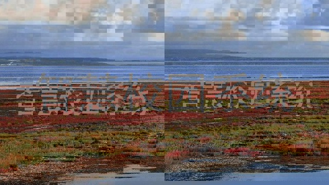 智慧校园系统