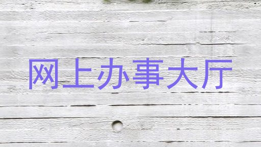 网上办事大厅