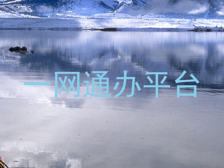 一网通办平台