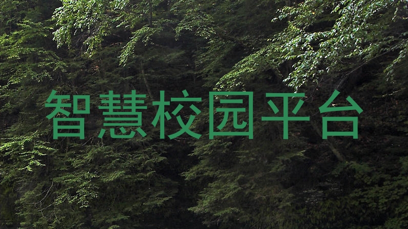 智慧校园平台