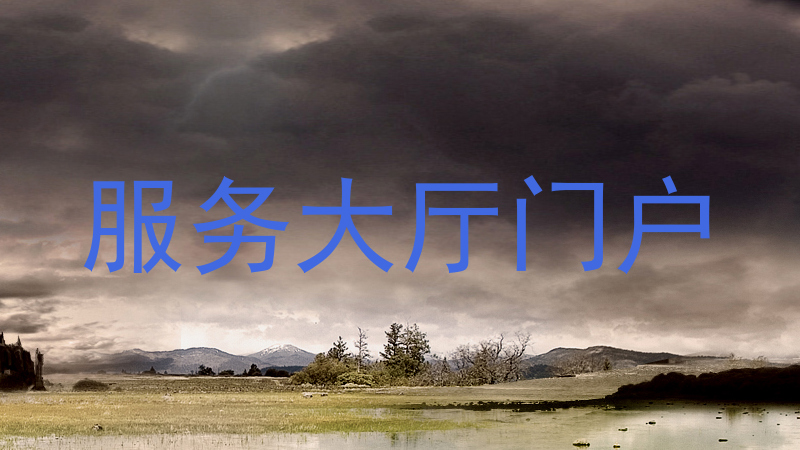 服务大厅门户