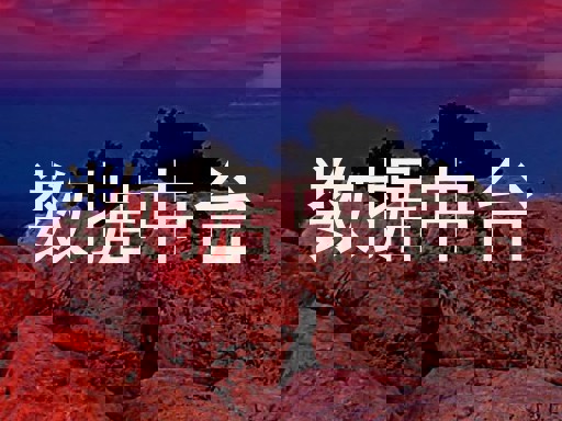 数据中台