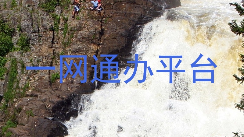 一网通办平台