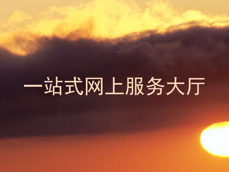 一站式网上服务大厅