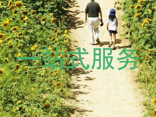 一站式服务