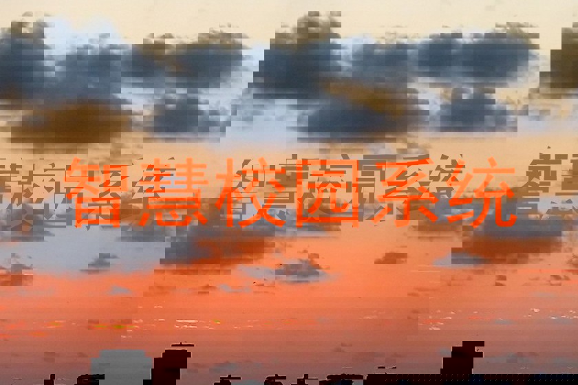 智慧校园系统