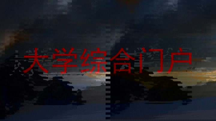 大学综合门户