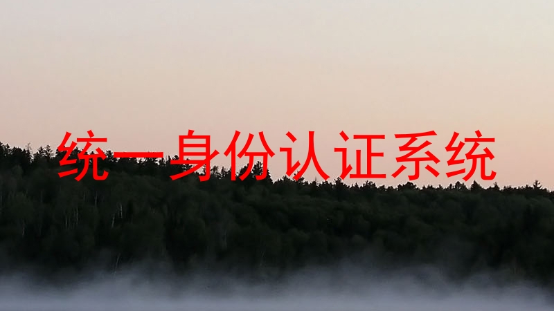 统一身份认证系统