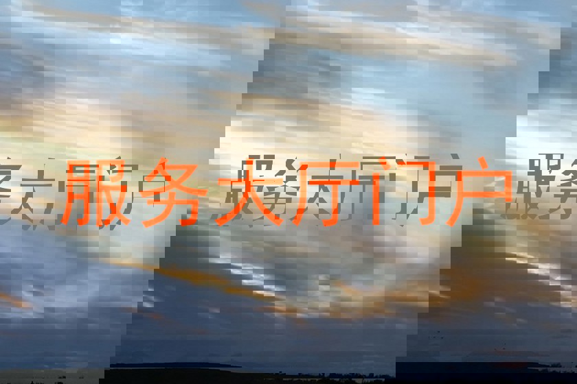 服务大厅门户