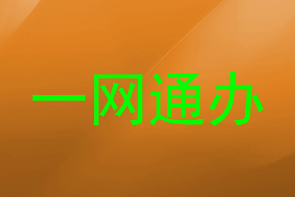 一网通办