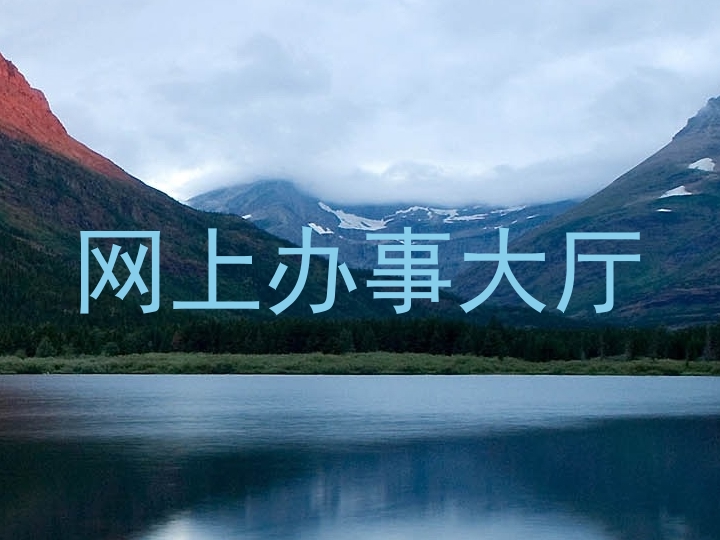 网上办事大厅