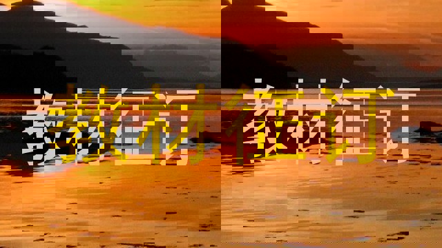 教材征订