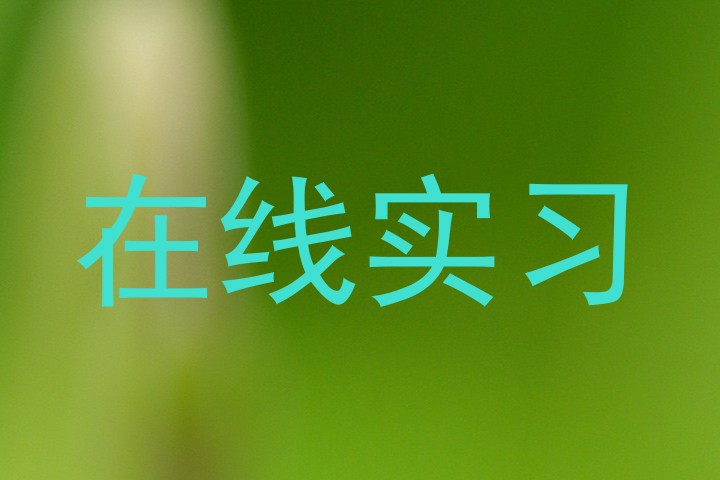 在线实习