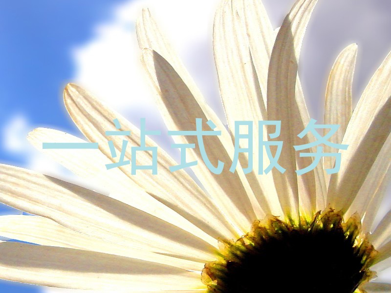 一站式服务