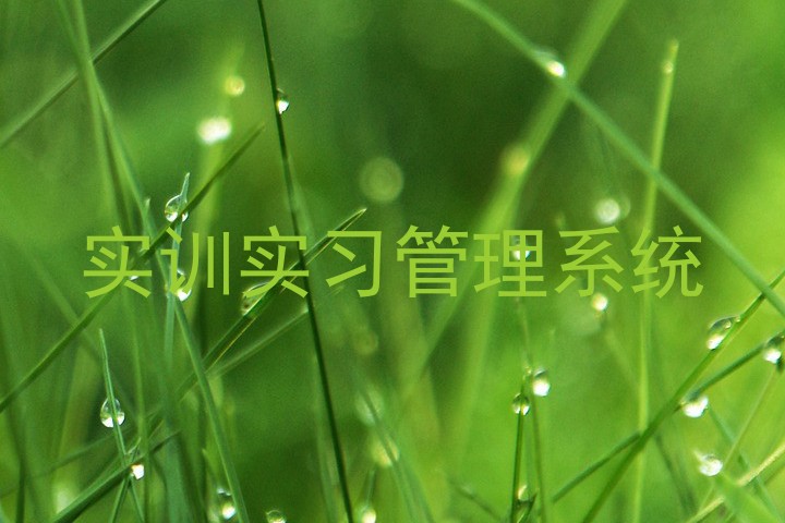 实训实习管理系统