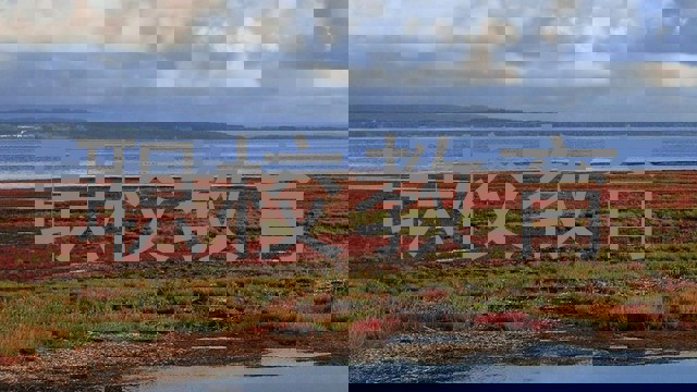 职校教育