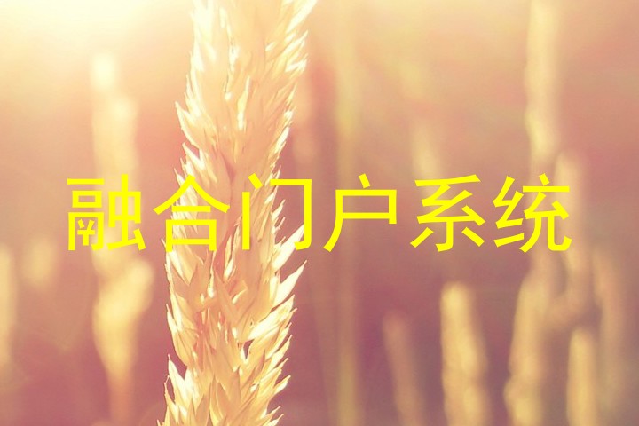 融合门户系统
