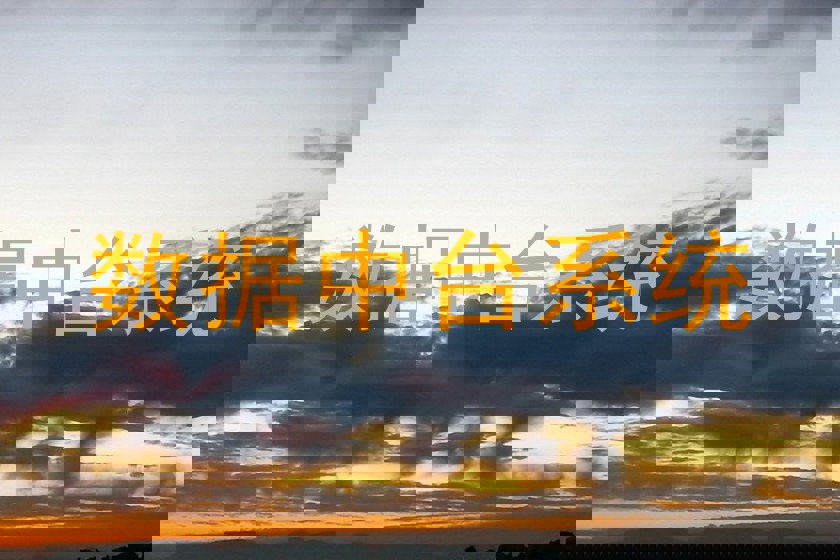 数据中台系统