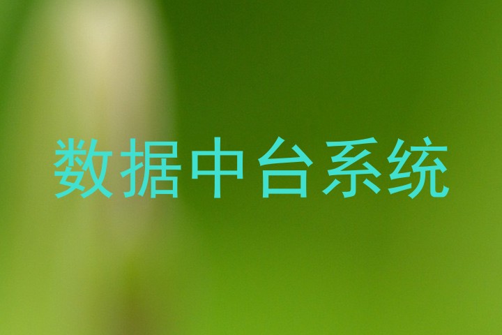 数据中台系统