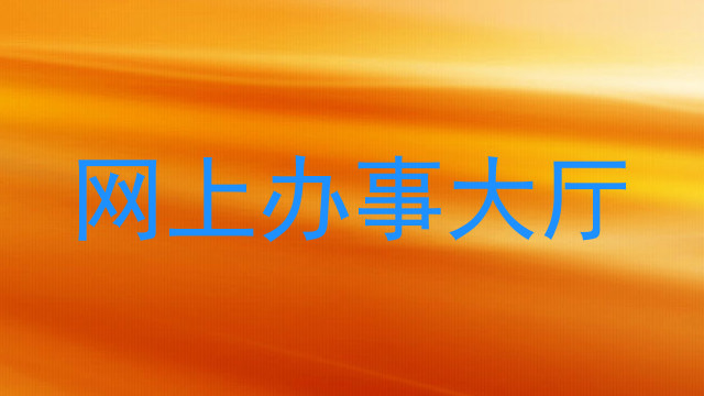 网上办事大厅