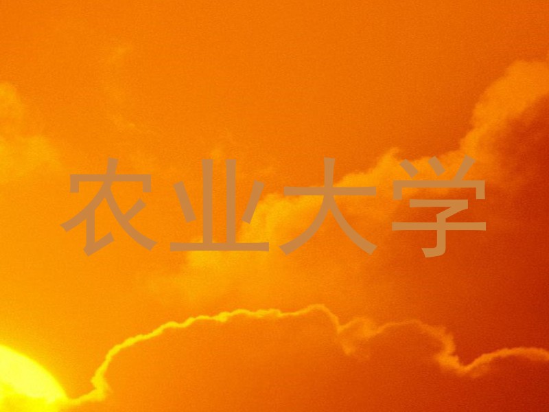 农业大学