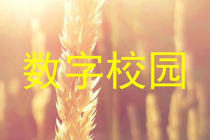 数字校园