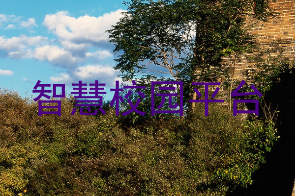 智慧校园平台