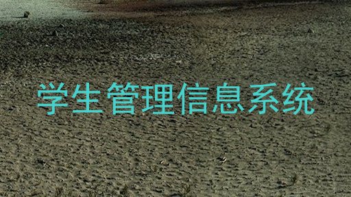 学生管理信息系统