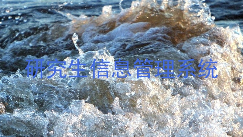 研究生信息管理系统
