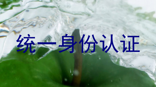 统一身份认证