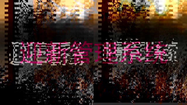 迎新管理系统