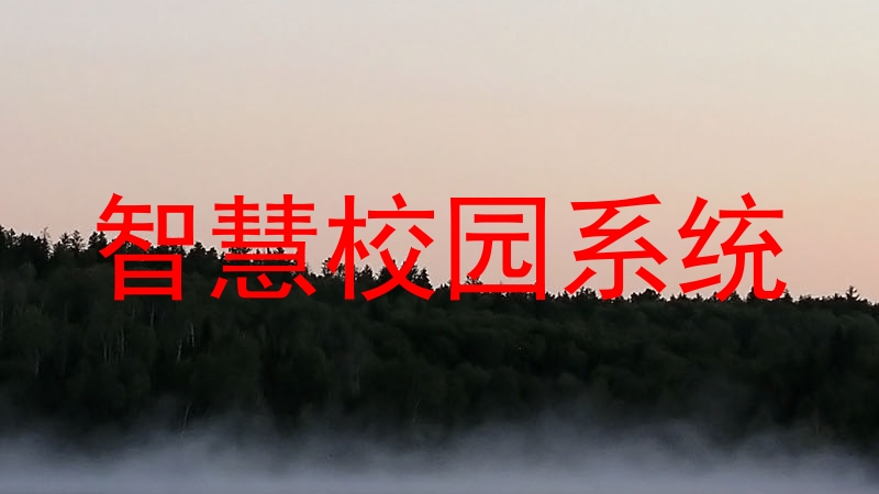 智慧校园系统