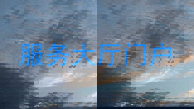 服务大厅门户