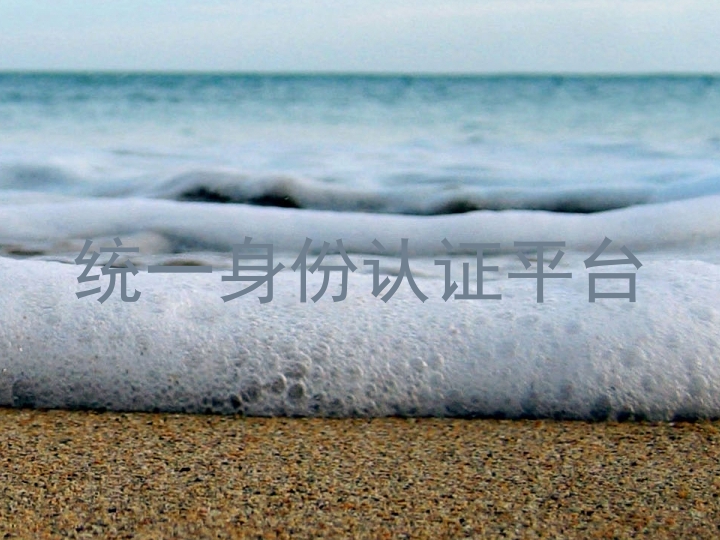 统一身份认证平台