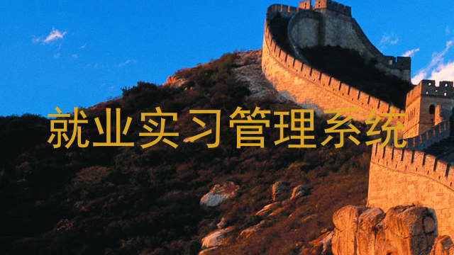 就业实习管理系统