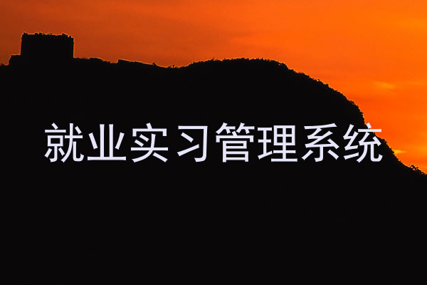 就业实习管理系统