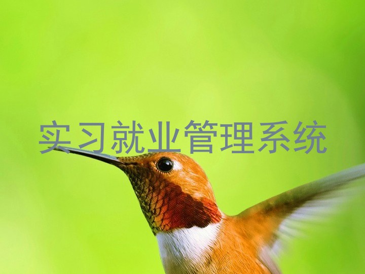 实习就业管理系统