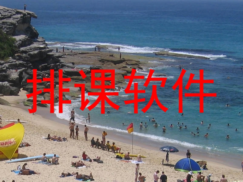 排课软件