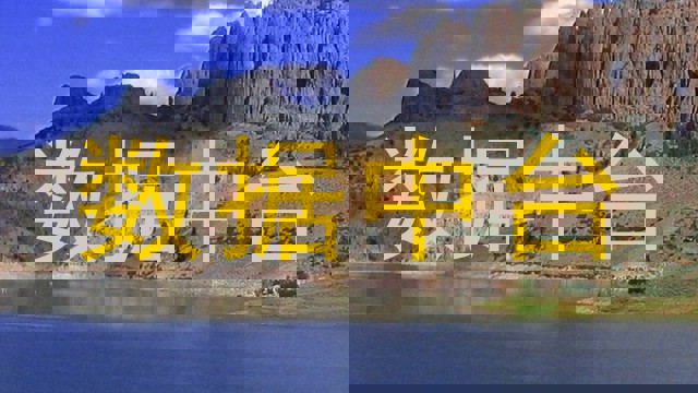 数据中台