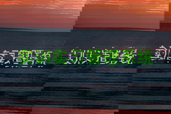 实训实习管理系统