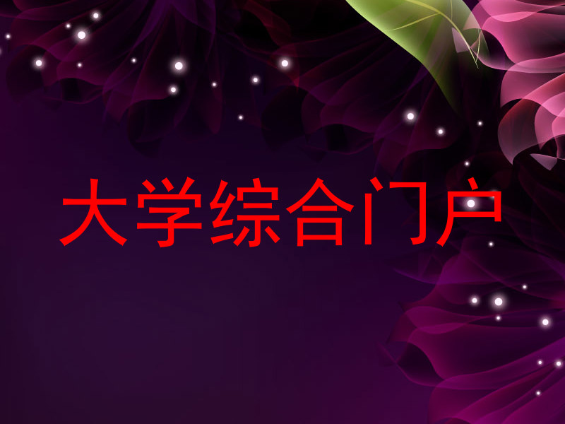 大学综合门户