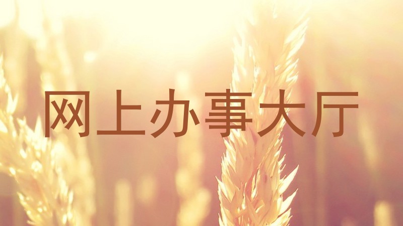 网上办事大厅