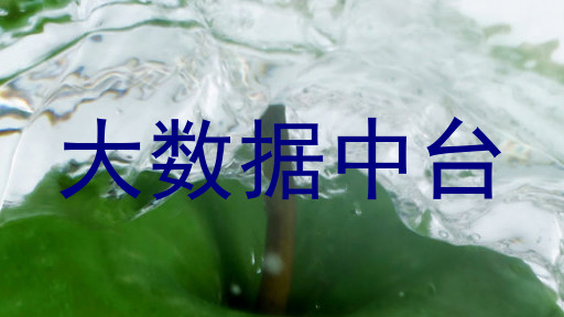 大数据中台