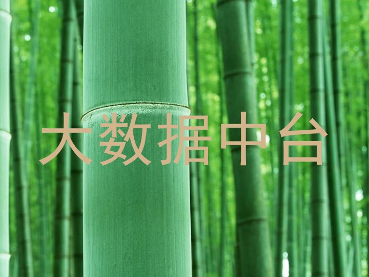 大数据中台