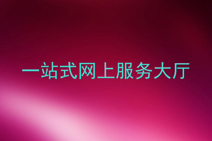 一站式网上服务大厅