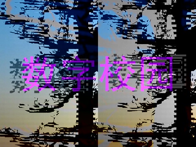 数字校园