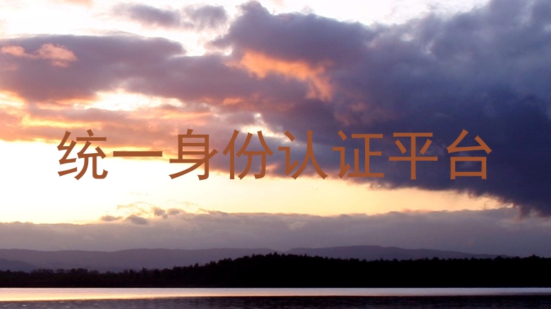 统一身份认证平台