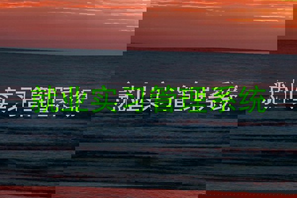就业实习管理系统