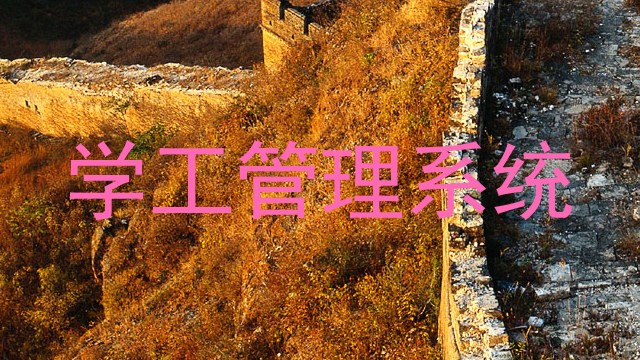 学工管理系统