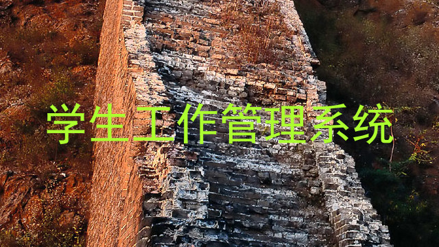 学生工作管理系统